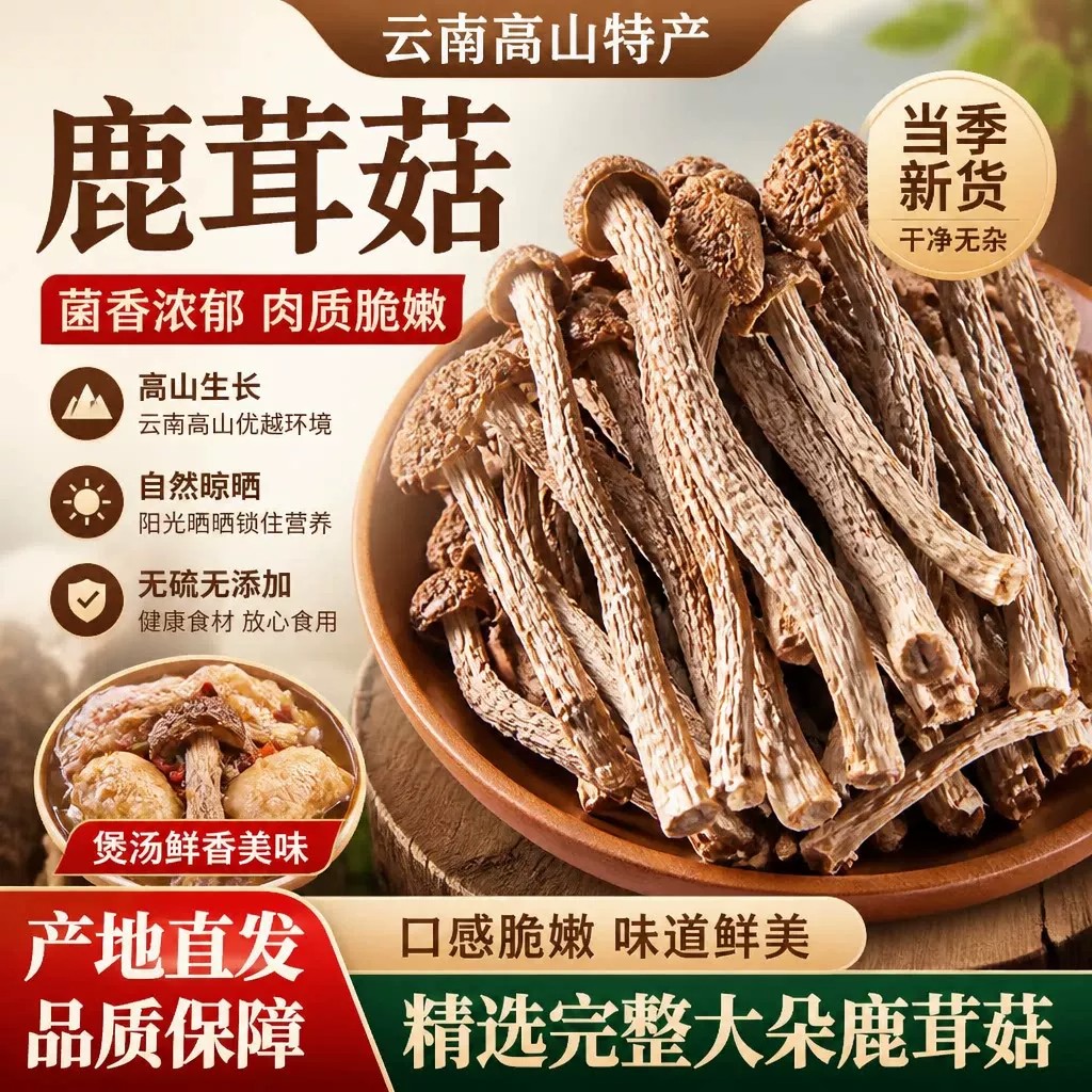 鹿茸菇干货鹿茸菌特级野生脆脆菇蘑菇干煲汤食材干锅滋补炖品