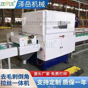 拉丝机高速LS型输送带金属去氧化抛光机砂带自动小型平面拉丝机