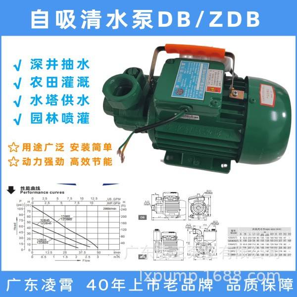 凌霄清水泵增压自吸泵农用灌溉工业压电动家用DB/ZDB/