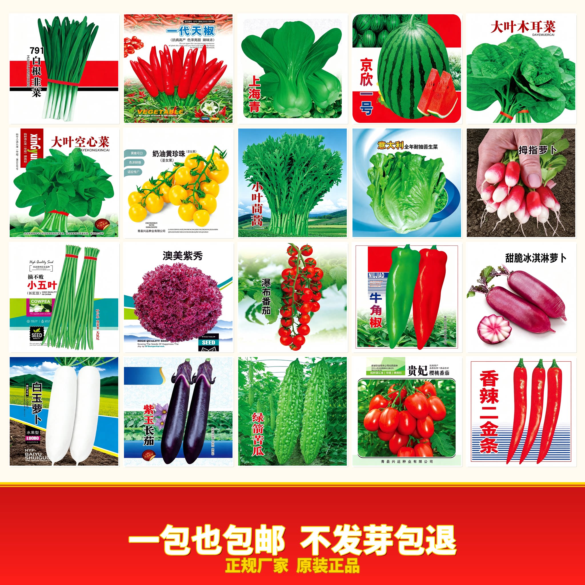 蔬菜种子四季播春易盆栽庭图片
