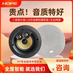 向往HS800定阻吸顶吊顶嵌入式喇叭音响音箱中低高音调频双声道