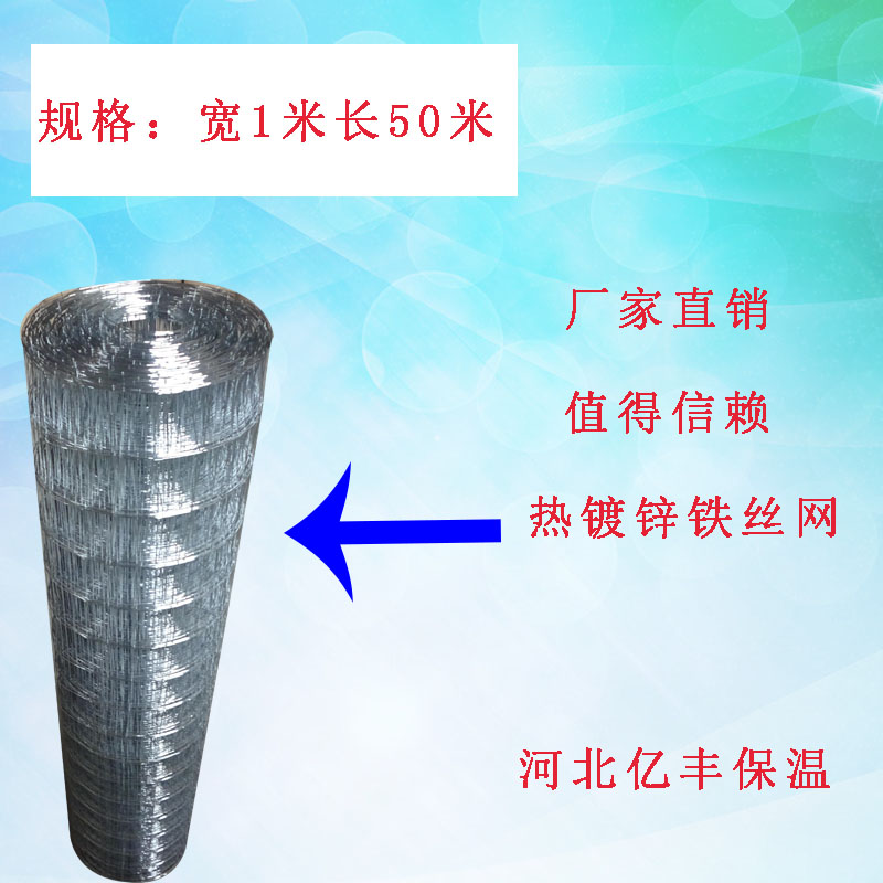 镀锌铁丝网鸡鸽笼围栏彩钢大棚玻璃棉卷毡托网养殖防护隔离网