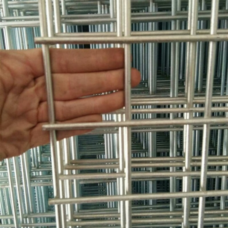 镀锌铁丝网片网鸽子笼狗笼养殖网片防护网防盗网围栏加粗网片包邮