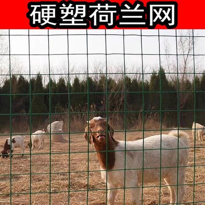围栏浸塑荷兰网 墨绿色圈地养殖防护网 果园用围网 加工定制