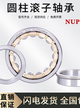 圆柱滚子轴承NUP 222 224 226 228 230 232 EM