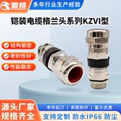 铠装 电缆格兰头系列KZVI型格兰头金属防水固定头铜材质