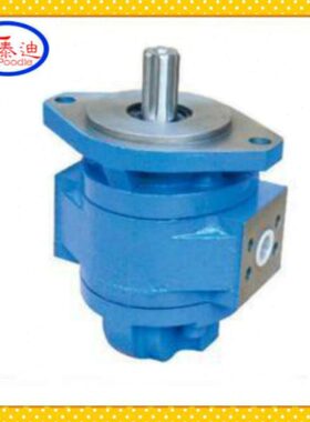 CMG2100-A1-30Z齿轮马达 工程机械马达