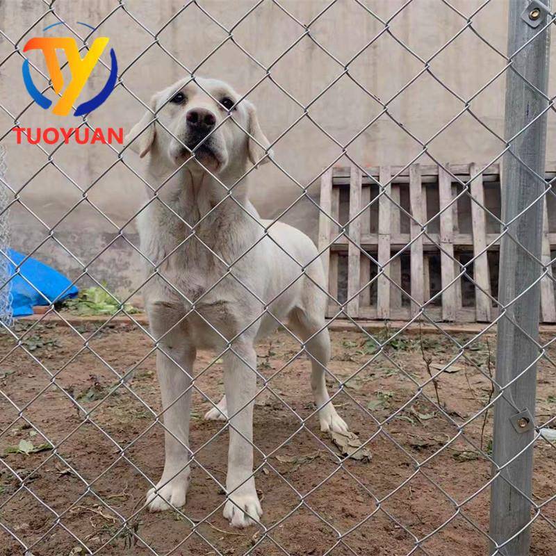 镀锌铁丝网养殖鸡狗牛羊网山地果园钢丝护栏网菱形勾花围栏网