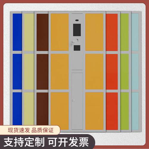 智能存包柜超市商场电子浴室理发店更衣柜寄存柜人脸识别带锁