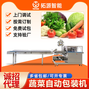 机罗莎绿往复式 机萝卜包装 枕式 机生菜自动包装 机械 包装 蔬菜包装