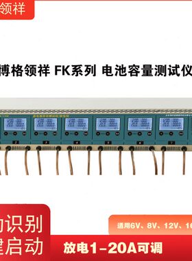 博格领祥 FK系列放电1-20A可调智能电池容量测试仪8路放电仪