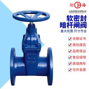 Z45X-16Q 球墨铸铁暗杆软密封闸阀 法兰弹性座封闸阀DN50 80 100