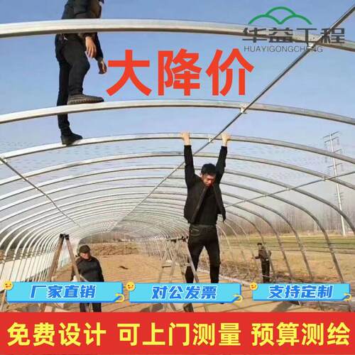 温室大棚钢管架种植蔬菜瓜果育苗连身大棚出口镀锌椭圆管大棚全套