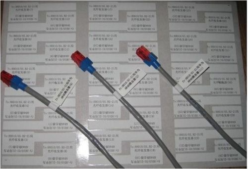 网线标签贴手写网线标签纸撕不烂线缆标签布线标签光纤线路标签纸