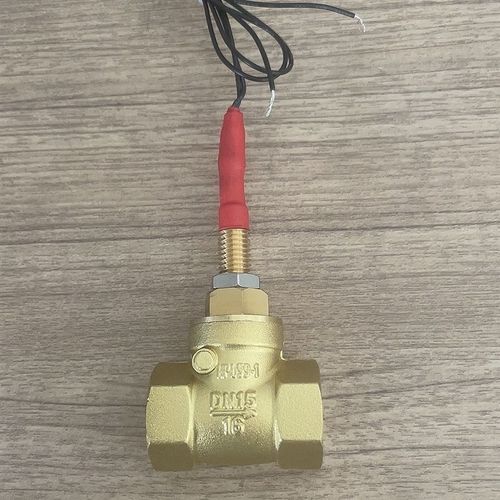 止回挡板式DN15/20/25/32水流开关4/6分流量控制传感器感应开关