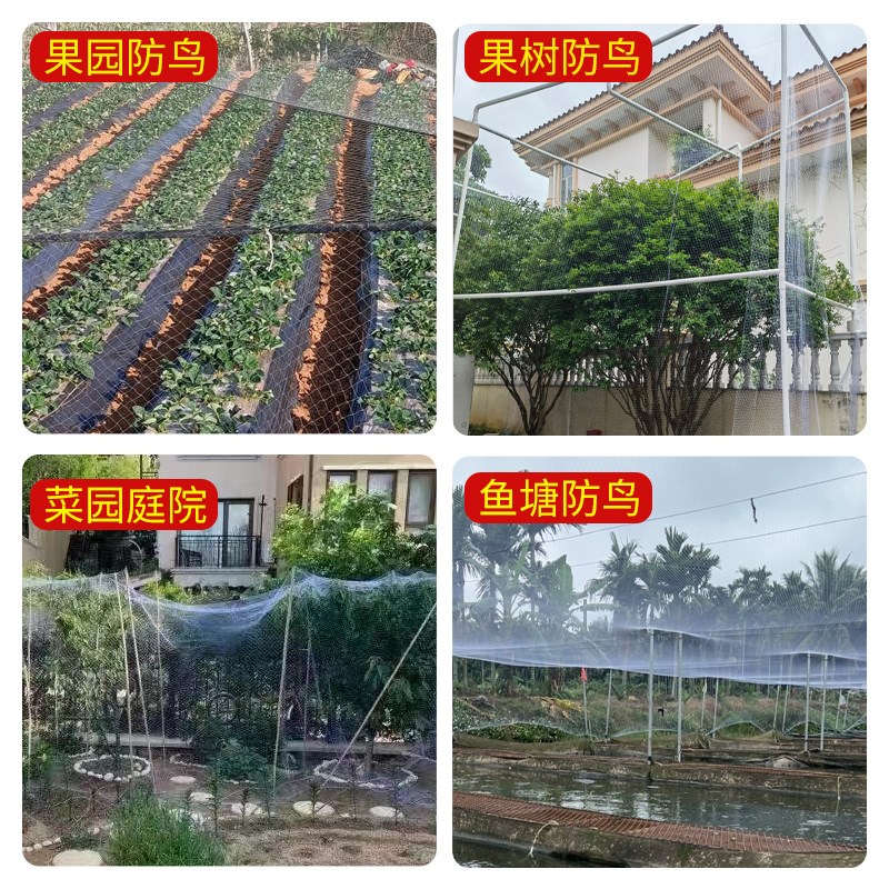 果树防鸟网小网孔果园天网尼龙网农用防鸟丝网樱桃嘉宝果树防护罩