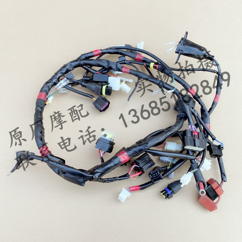 比亚乔淑女电喷版BYQ100T-V主电缆全车线大线线路