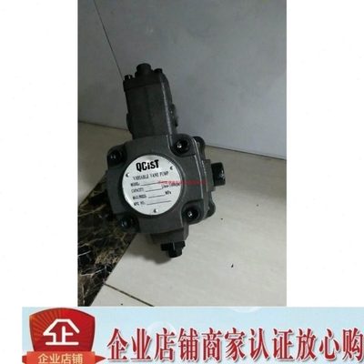 原装QCIST叶片泵VVP15B/55 VVP20B/55 VVP30B/55 油泵VVP40B/55