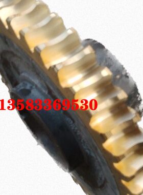 C6016W5 蜗轮减速机0  8126  0铜120 齿轮21  5蜗轮 齿10