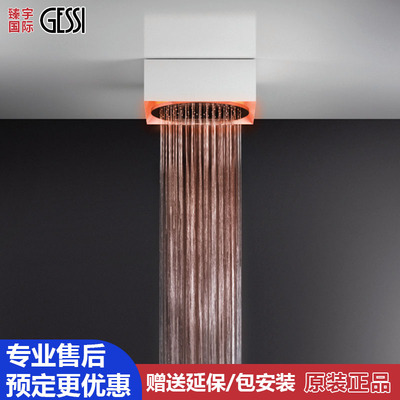 意大利进口gessi捷仕吊顶出淋浴花洒暗装花洒57603 57018 63022