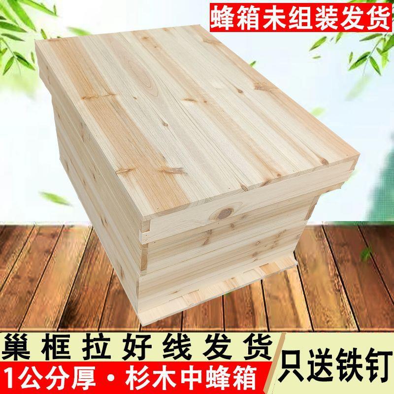 蜂箱蜜蜂箱双开门土养新手全套七框标准中蜂诱蜂一整套专用桶跨境