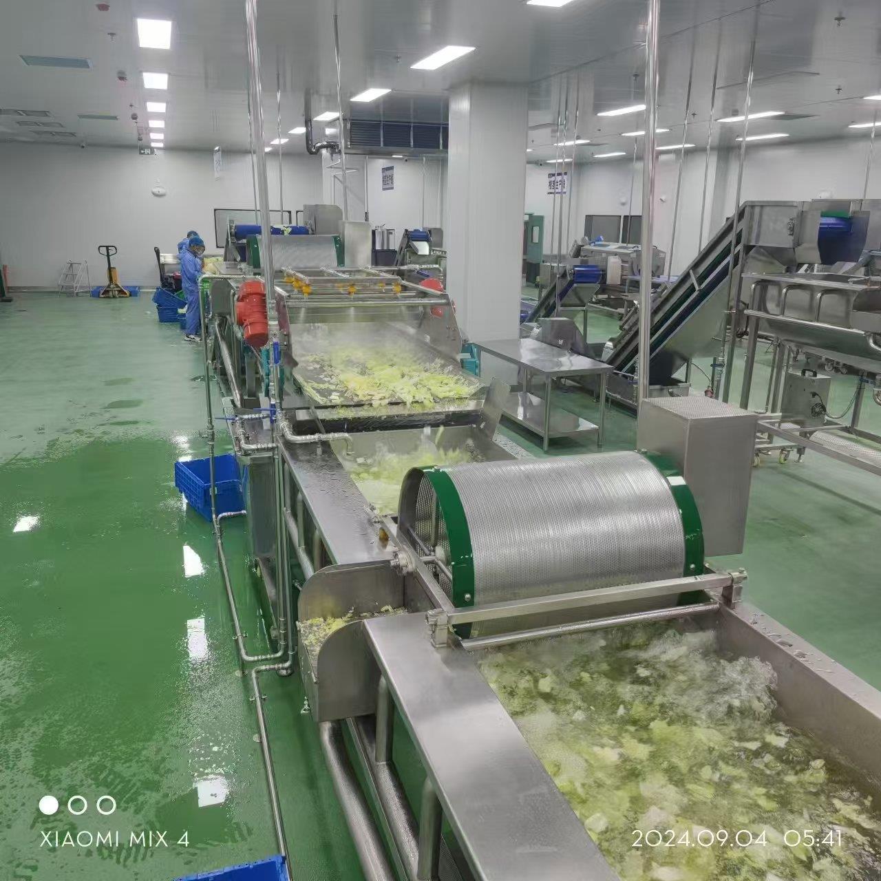 净菜加工生产线 花椰菜涡流清洗机 中房生产线全套设备包安装