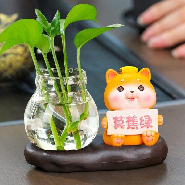 铜钱草绿萝水培玻璃花瓶可爱莫焦虑客厅办公室咖啡厅桌面小摆件