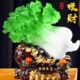 玉白菜摆件招财大号金蟾客厅玄关酒柜店铺家居工艺装 饰品开业礼品