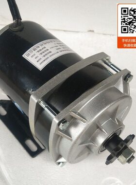 尤奈特永磁直流有刷电机MY1020Z-500W36V电动车电机 娱乐设备电机