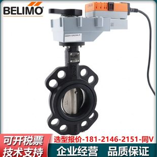 D6300N 搏力谋D6200W BU6250 D6250N BU6350电动蝶阀水阀 BU6200