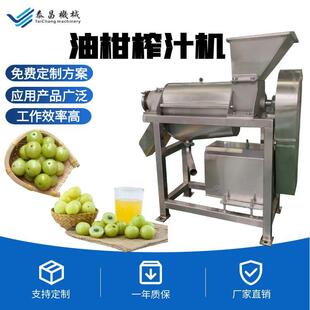 油柑果榨汁机余甘子破碎取汁机商用滇橄榄果汁加工设备余甘果采汁