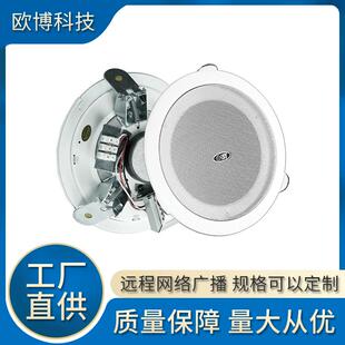 100V吸顶吊顶音箱 6W公共广播70 嵌入开孔套装 同轴音响天花喇叭3W