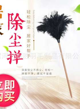 90厘米C02白木杆黑色鸵鸟毛掸子除尘掸子家用鸡毛掸子 车用灰尘掸