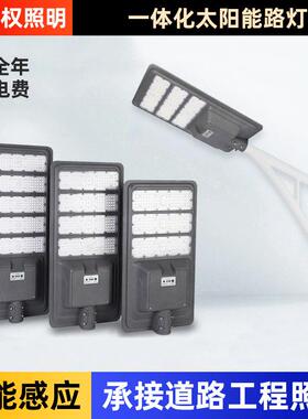 新农村路灯户外庭院灯LED外贸跨境一体化市政工程路灯