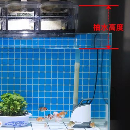 森森鱼缸抽水泵家l用底吸过滤换水泵循环泵龟缸小型鱼池静音潜水