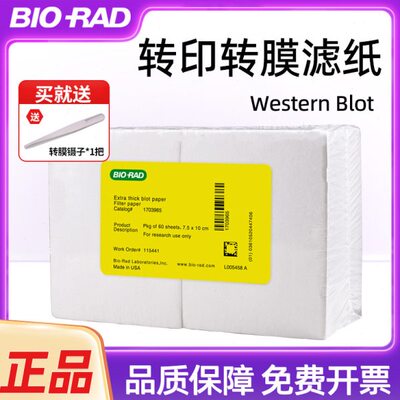 Western blot转膜转印湿转厚滤纸1703965/1703932bio-rad天能六一