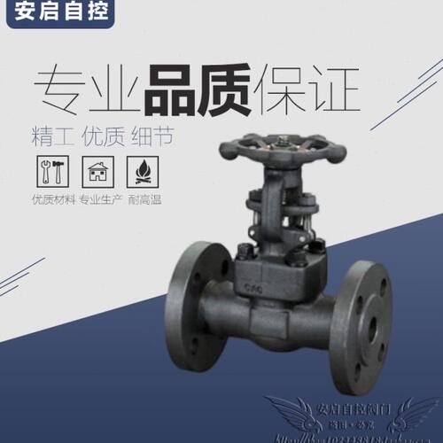 Z41Y-100I高温蒸汽540℃铬钼钢锻钢法兰闸阀DN15 20 25 32 40 50