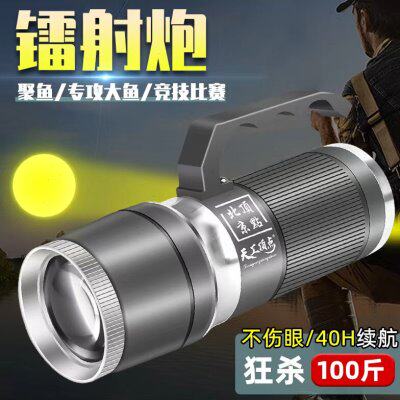 顶点夜钓灯激光镭射炮钓鱼灯蓝光灯夜钓装备专用灯超亮野钓台钓灯