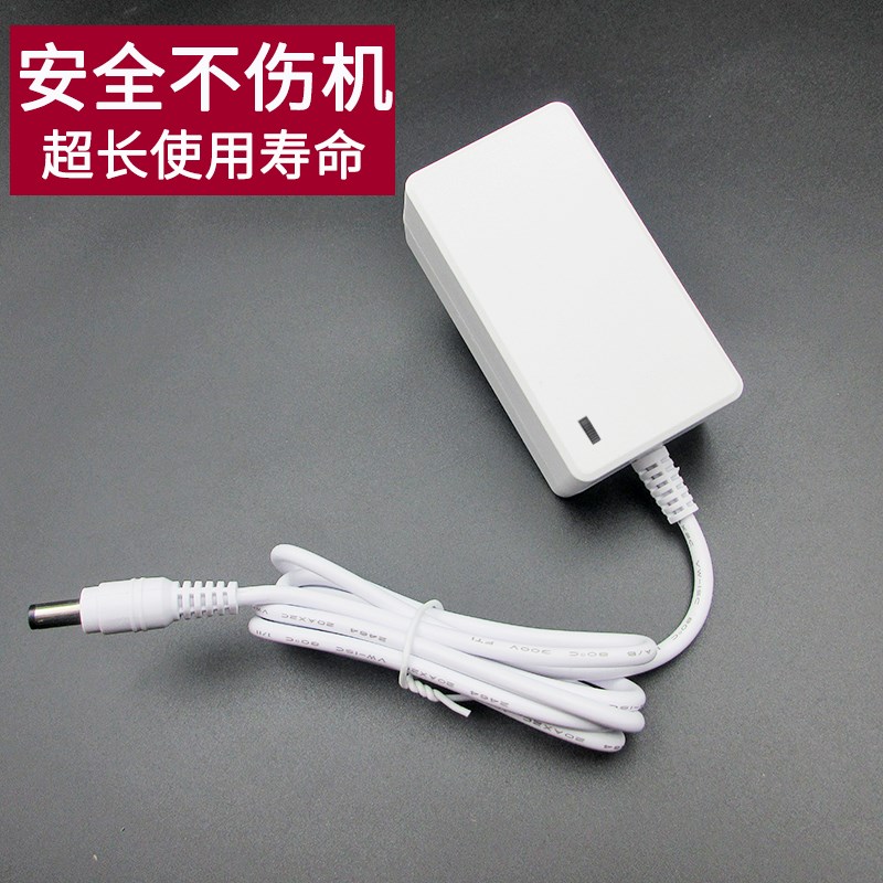 AY大排灯原装电源线美容仪插头E光谱仪电源适配器面罩充电器线