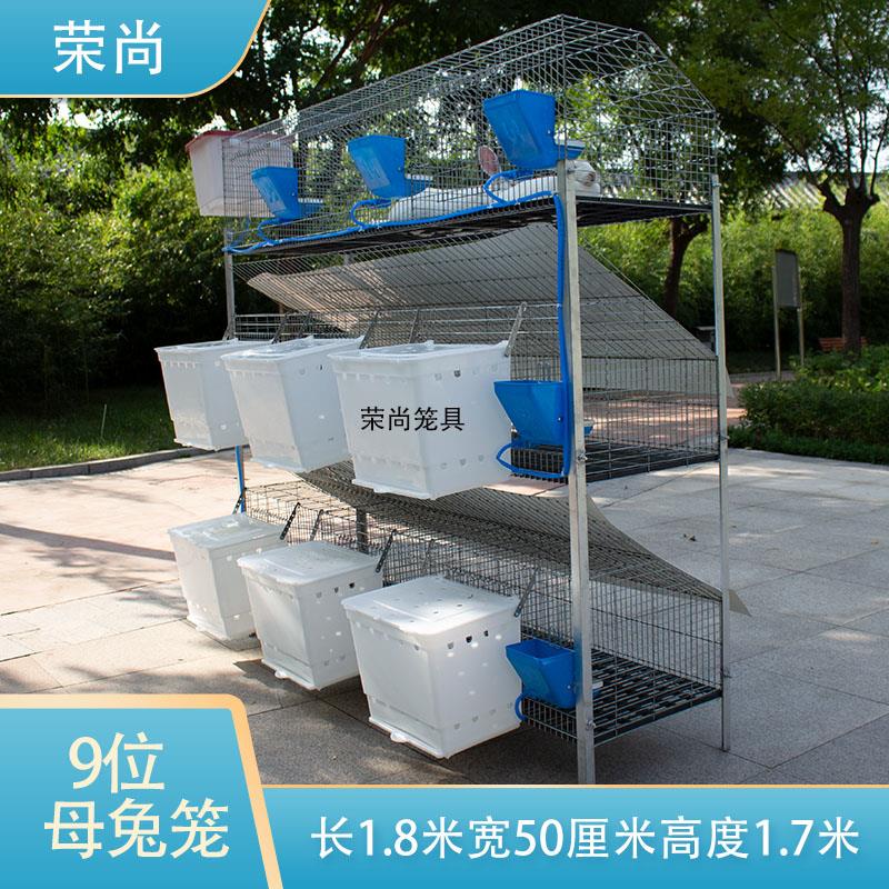 兔子笼自动清粪防喷尿兔笼家用养殖场专用专业特大号超大兔子笼子