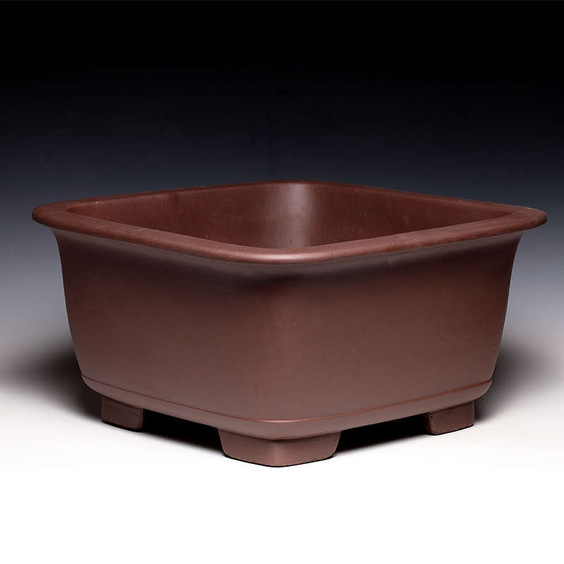 君子兰花盆d陶瓷大号中国风简约室内客厅特大号发财树紫砂花盆景