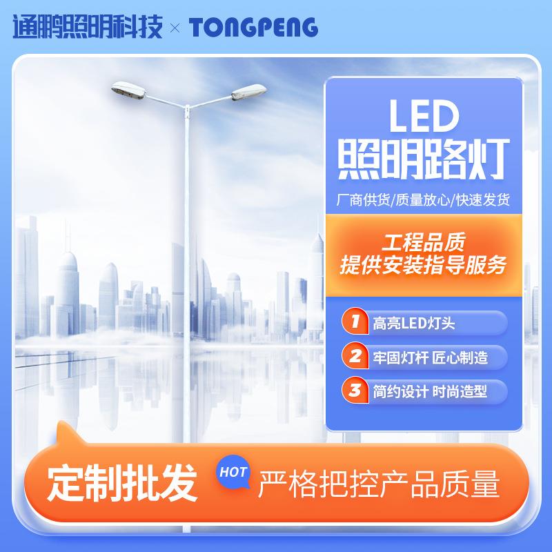 太阳能路灯LED新农村建设亮化工程太阳能灯户外led单双臂路灯