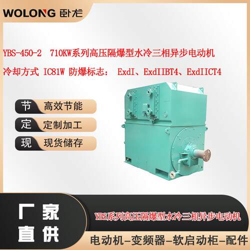 YBS-450-2710W系列高压隔爆型水冷三相异步电动机IC81W