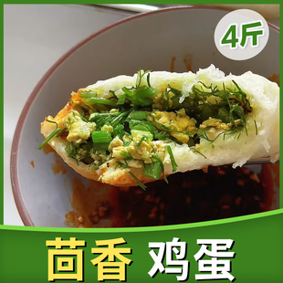 【纯素-茴香鸡蛋】4袋白菜豆腐素三鲜饺子粉条荠菜韭菜80个4斤