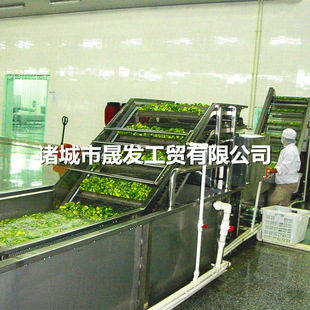 晟发现货供应不锈钢全自动果蔬清洗机 水果蔬菜去农残清洗设备