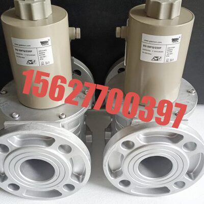 SG40R02NT33  SG50R02NT33  SG65F02NT33  SG80F02NT33  SG100F02