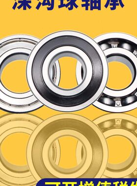20 3219602818RS2660 60  6024226060  ZZ 21深沟球轴承6060  60