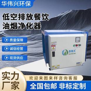 厂家直销餐饮饭店厨房油烟净化器可低空排放高效清除烟雾HWX60K