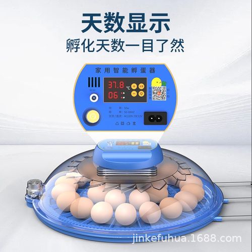 小飞碟孵化器小型家用孵化机智能全自动控温孵蛋器翻补水