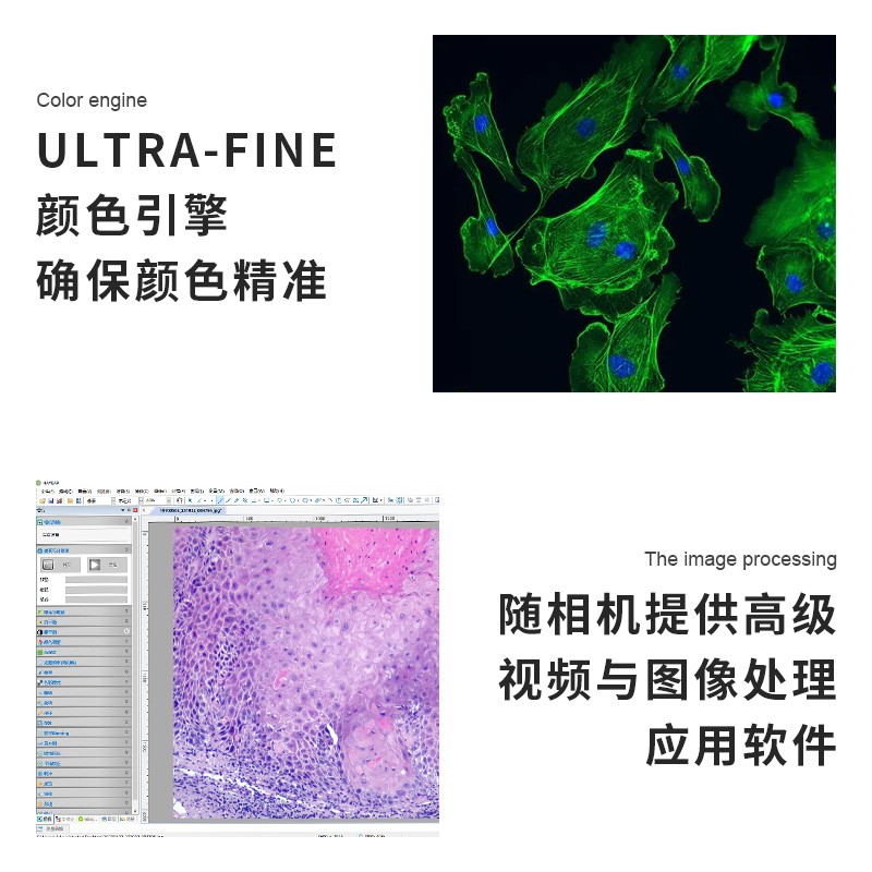 海约USB工业相机显微镜4K电子目镜科研金相生物体视拍照录像测量